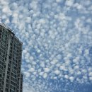 양떼구름미술학원 이미지