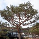 달이실펜션 이미지