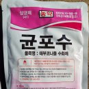 SGagro 이미지