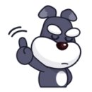 온양애견미용 이미지