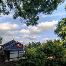3917 | [전남 나주] 카페 "3917마중" 내돈내산 후기 | 소문대로였던 4천평 규모 초대형 정원카페