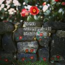 동백하우