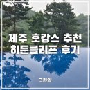 공항메가관광대행사 | 제주 히든클리프 호텔 후기｜여름휴가에 다녀온 제주 호캉스 조식, 수영장, 숲뷰까지 만족!