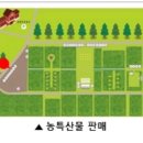 진봉심포드리마을 네이버블로그