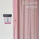 태동 | 임신 36주차 아인병원 태동검사 시기 후기