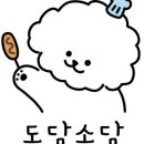 펫도담 이미지