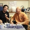 김밥나무 이미지