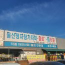 울산정자참가자미회타운 이미지