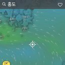 금호카포스 이미지