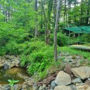 오서산 늘봄 가족독채펜션 이미지