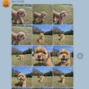 개러리아 송파점 이미지