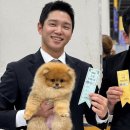 퍼피리트(PUPPY LIT) 이미지