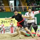 천하장사 Daum카페