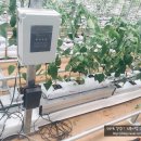 연곡농장 이미지