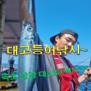 인천낚시1번지 | 황열기,대구낚시 속초 낚시 포인트 락피쉬 8월 9월 바다낚시 강원도 선상낚시 양양 대선단배낚시