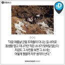 한국 듀이