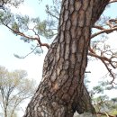 하조민박 이미지