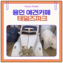 코코애견 | 용인 애견카페 테일즈파크 방문 후기｜코코와 함께한 주말 반려견 나들이