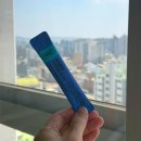 플랜 | 웬디유산균, 웬디 관리템으로 유명한 프로뉴트리션 듀얼플랜 유산균 솔직 후기🤍