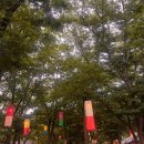 청룡한약방 | [용인] 한국민속촌 초여름 37개월 아기랑 오픈런해서 연분까지 본 후기 (feat.대만족)