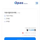 오파스 이미지