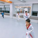 솔빛태권스쿨 이미지