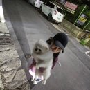 창윤농장 이미지