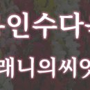 수다육 이미지