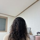 합정 더크라운헤어 히피펌 후기