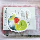 단북애청년 이미지