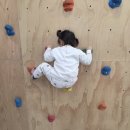 한별어린이집 이미지