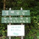 자은목장 네이버블로그