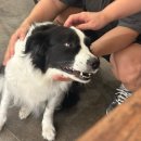 노닐다 | #내돈내산 (이영자&amp;박세리)남겨서뭐하게1화 노닐다B&amp;B