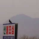 장터공인중개사사무소 이미지