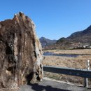 예향의 숲 이미지