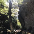 선운산도립공원(선운사 주차장 앞) 이미지