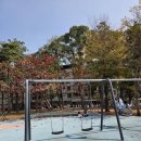 11545-03-32-21 | [260216-21] 가오슝으로 슝슝 Kaohsiung, Taiwan 2