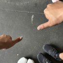(주)한국와코루 현대본점 와코루 | 뉴욕 할랄가이즈 본점ㅣ미국여행 최애 스트릿푸드 - 화이트소스 가득 콤보 플래터