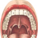 과학실험 이미지