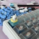 커스텀텍 | 내돈내산 독거미키보드 AULA F65 경해축 언박싱+ 첫 커스텀 키보드 입문...?