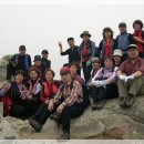 샘내한증막 이미지