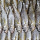 명성유통 이미지