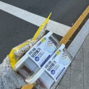 산호동149 이미지