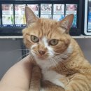 행운이용원 이미지
