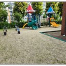 풍암초병설유치원 이미지