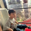 대추원천 | [잠실] 롯데월드 연간회원권 대추천! 키즈카페 말고 롯데월드가세요 (진지) + 유아 놀이기구 추천