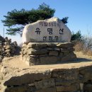 그린고속관광(주) 이미지