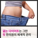 핏한의원 네이버블로그