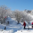 한라산 - 제주시 | 한라산
