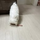 살랑가협동조합 이미지